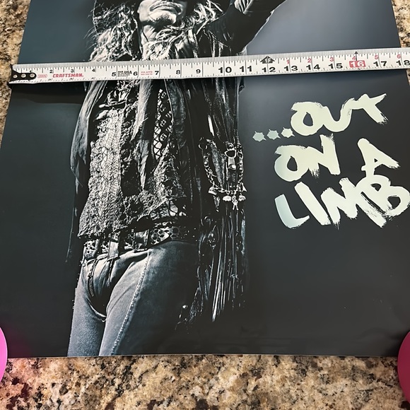 Steven Tyler ‘Out On A Limb’ tour print - Picture 2 of 3